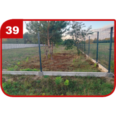 Wzór 39