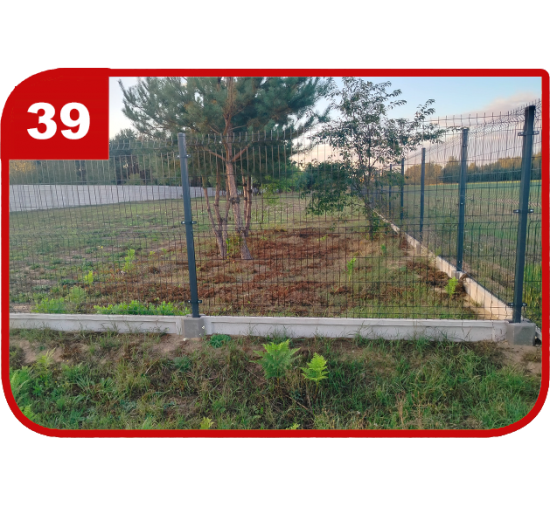 Wzór 39