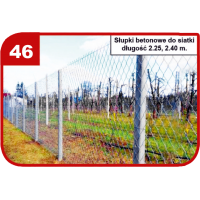 Wzór 46