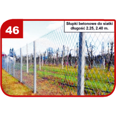 Wzór 46