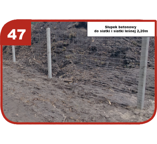 Wzór 47