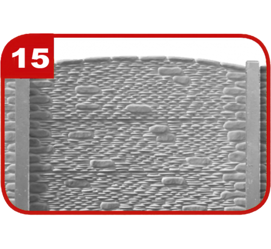 Wzór 15